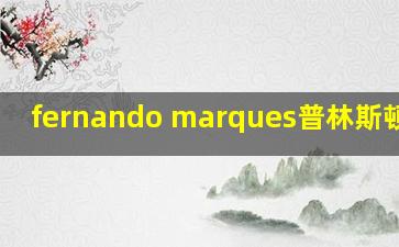 fernando marques普林斯顿大学